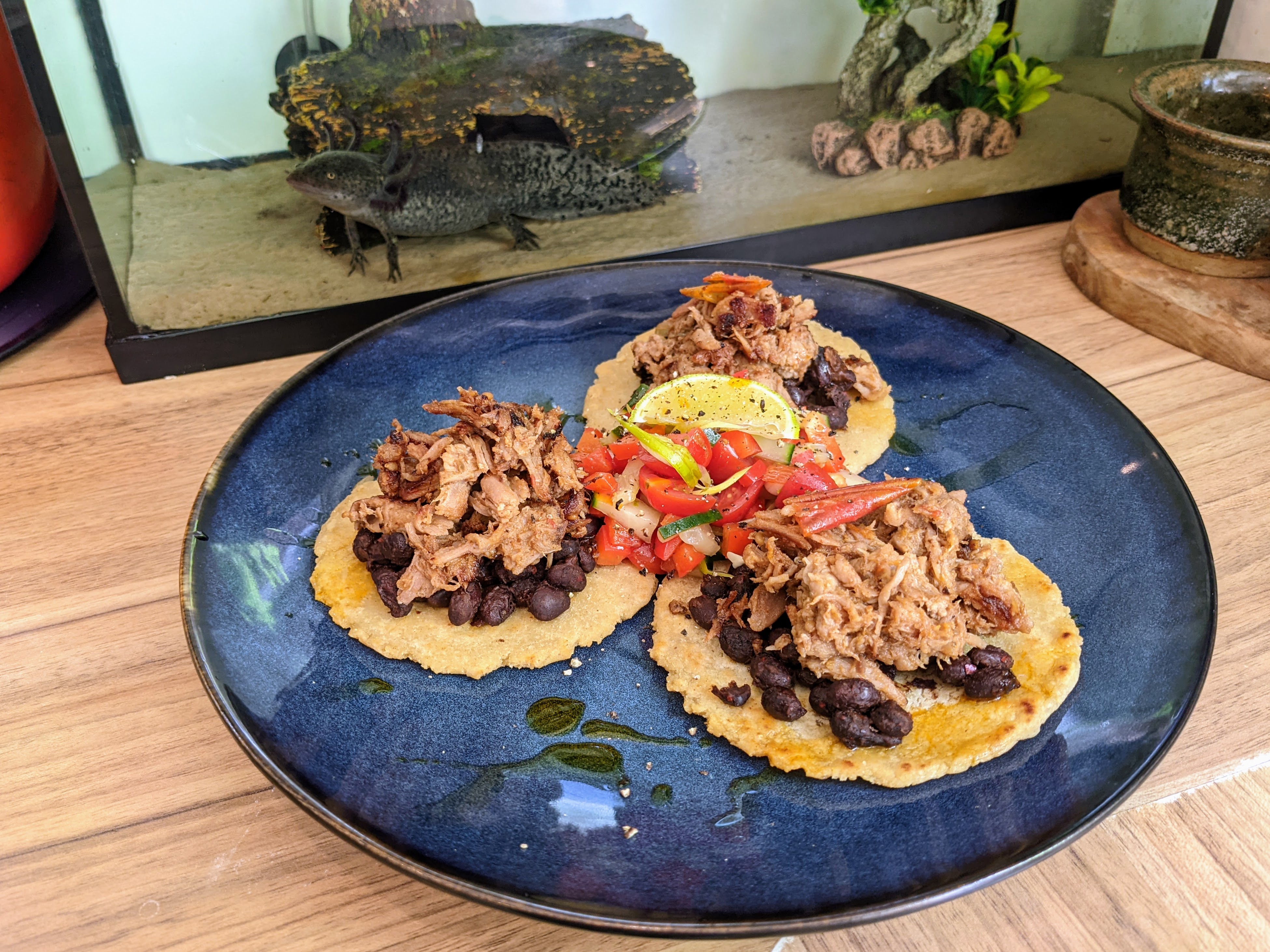 Cover image for Will Rowe